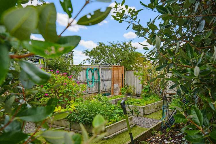 63 Waipunahau Road Waikanae_9