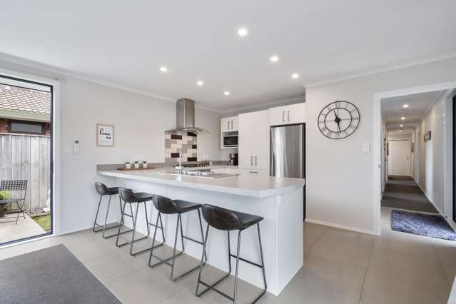 67a Albert Street Palmerston North Central_1