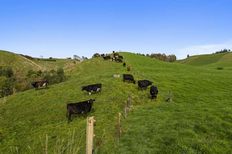 1234 Richmond Road Everett Park_5