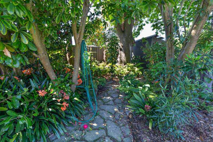 188 Bartholomew Road Levin_20