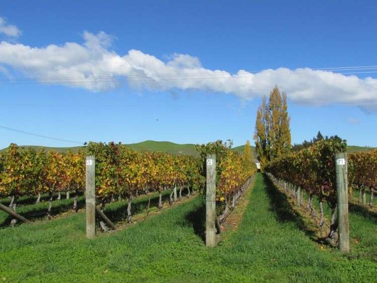 1928 Maraekakaho Road Central Hawkes Bay Coastal_7