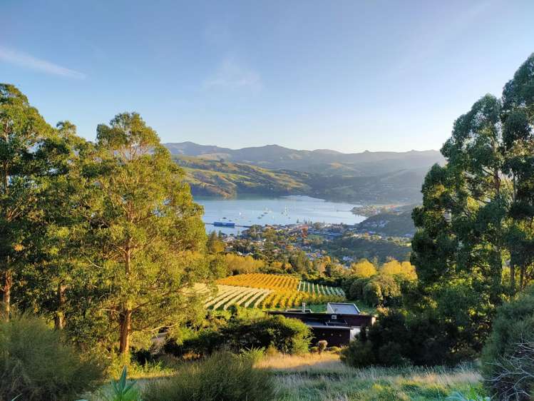 41 Lighthouse Road Akaroa_5