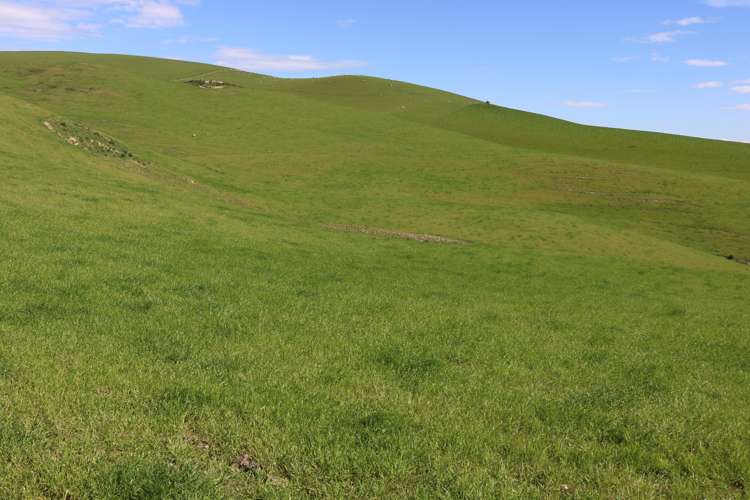 386 Otama Valley Road Gore Surrounds_15