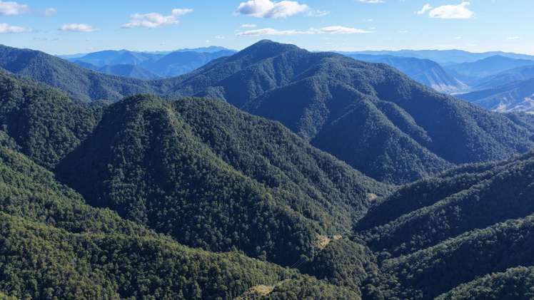 291 Braeburn Track Braeburn Range_18