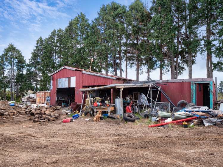 78 Turner Road Whakamarama_13