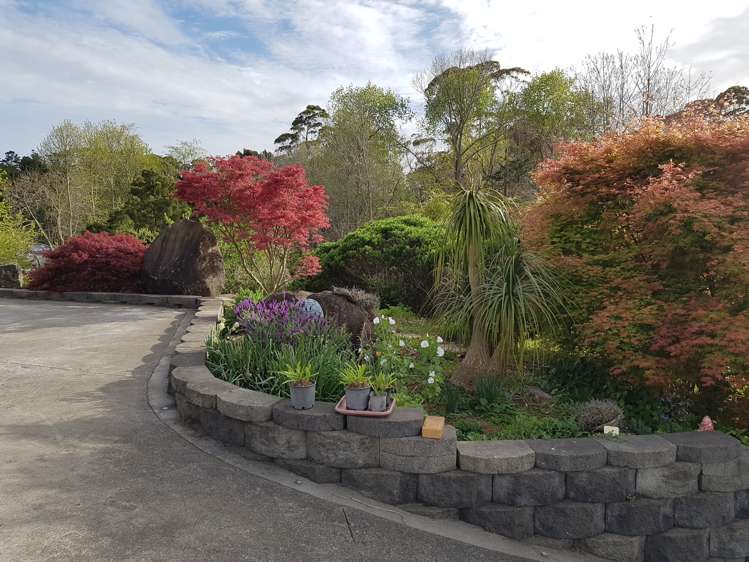 128E Mauku Road Patumahoe_25