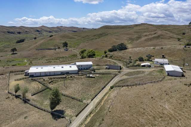1002 Te Akau Road Te Akau_3