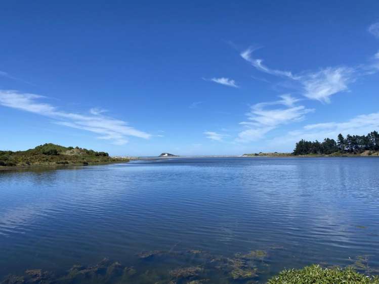 56 Viscount Road Waldronville_23