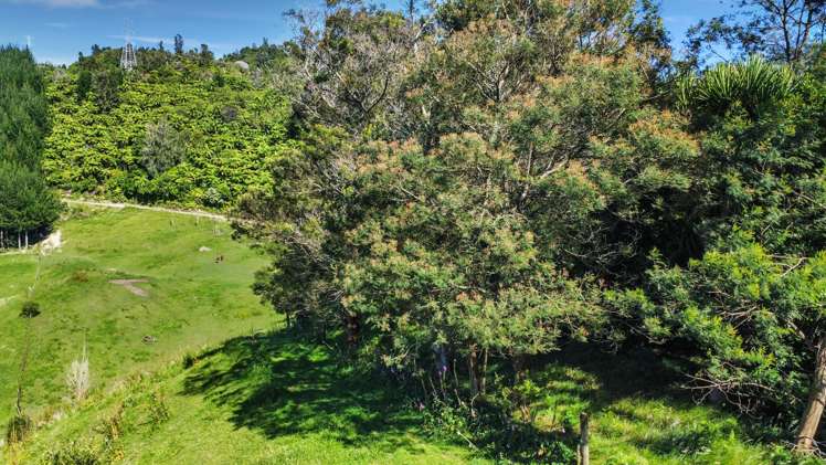 109 McIvor Road Rotoma_14