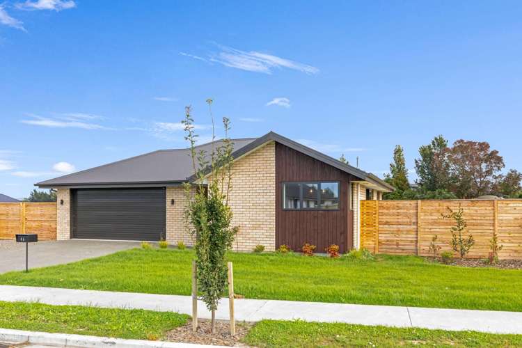 46 Benn Street Amberley_32