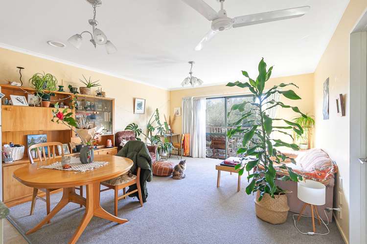 132 Pupu Valley Road Takaka_12