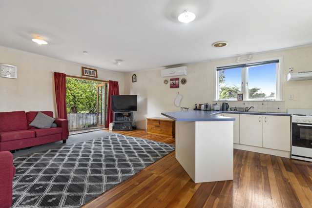 147a Rimu Street Maeroa_4