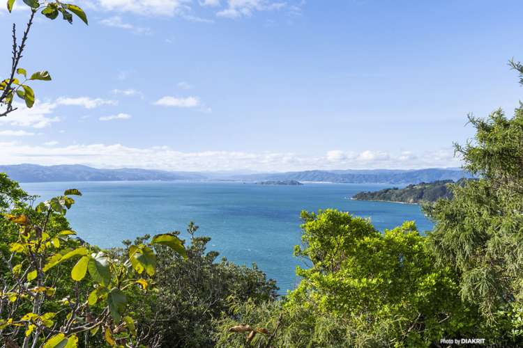 27 Roseneath Terrace Roseneath_7