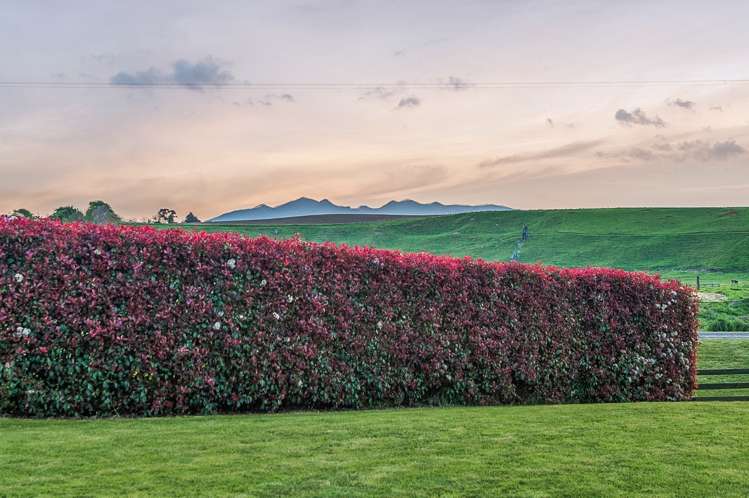 62 Perrin Road Ohaupo_17