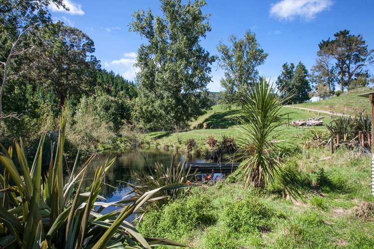 187 Judge Road Rotoorangi_7