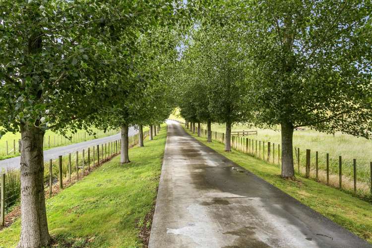 30 Ranby Road Ohaupo_22