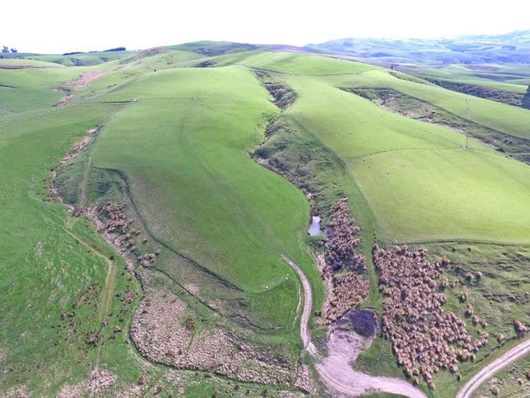 236 Kee Road Gore Surrounds_13