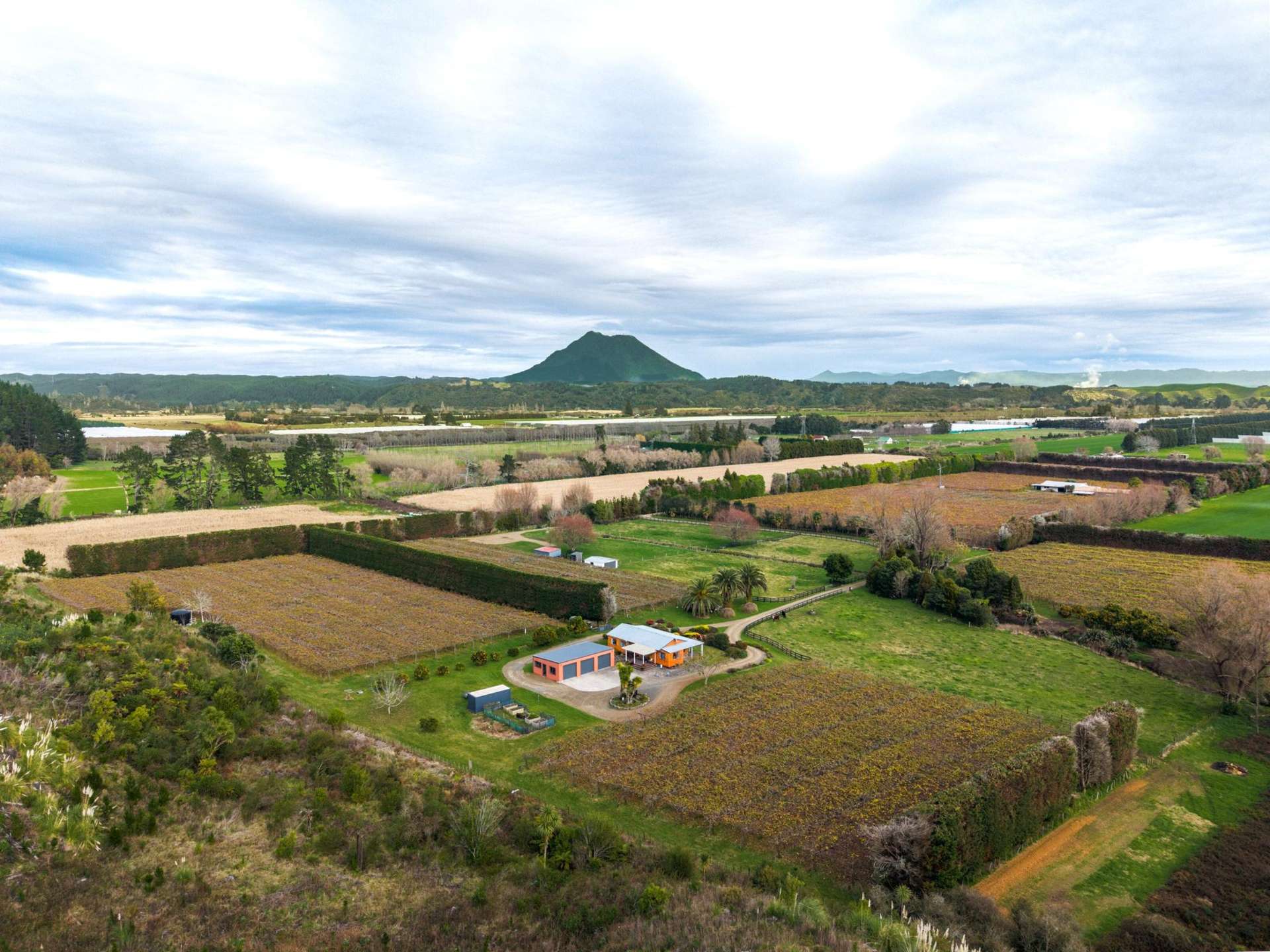 389A MacDonald Road Te Teko_0