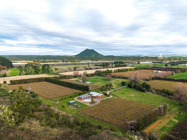 Lifestyle living with kiwifruit returns