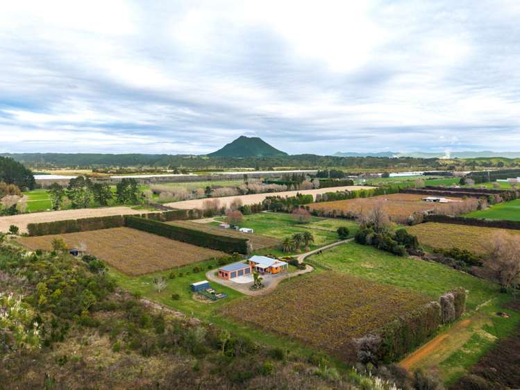 389A MacDonald Road Te Teko_0