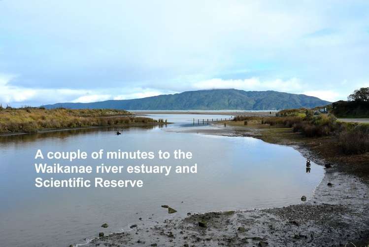 6 Marewa Place Waikanae Beach_32