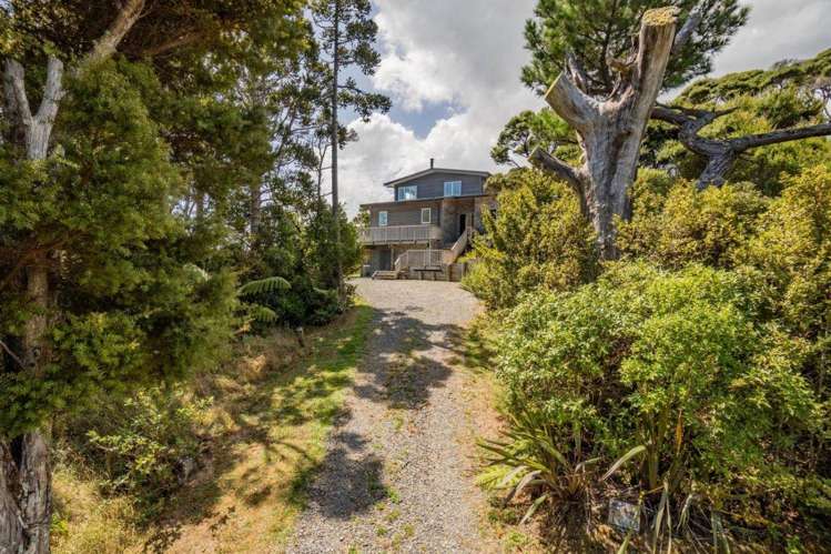 138 Piha Road Piha_21