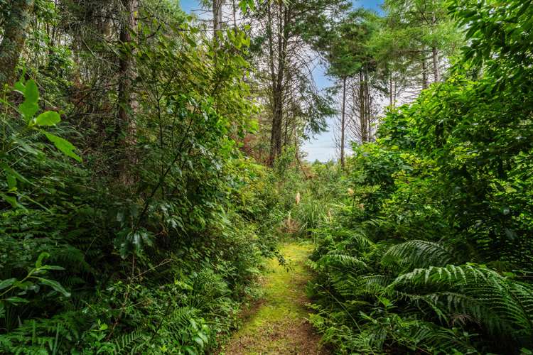 55 Stewart Glen Acacia Bay_28