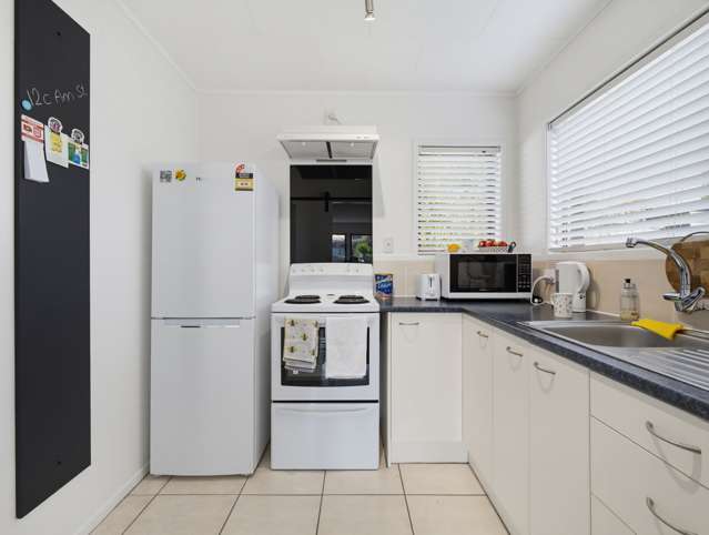 12c Ann Street Victoria_4