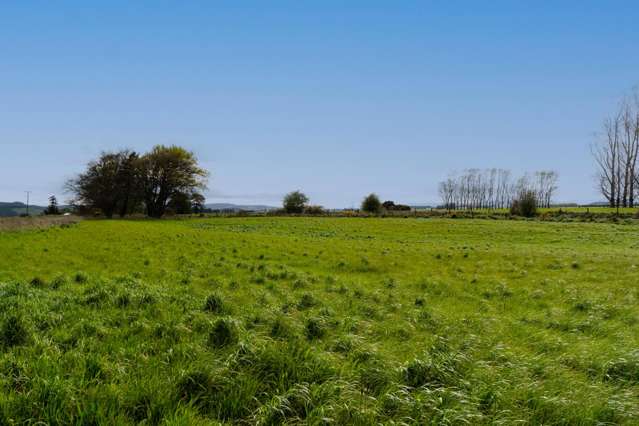 Waikouro Wairo Road Scotts Gap_4