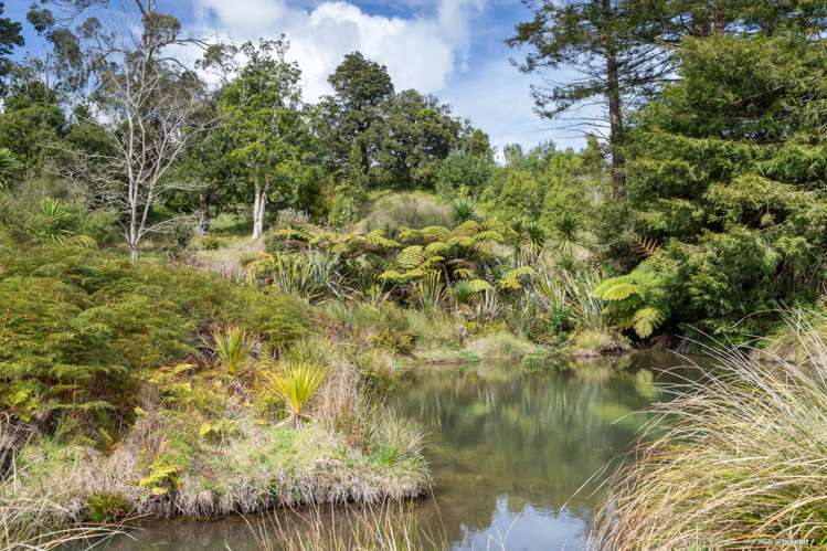139 Dominion Road Tuakau_7
