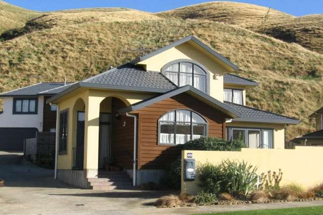 65 Amesbury Drive Churton Park_1