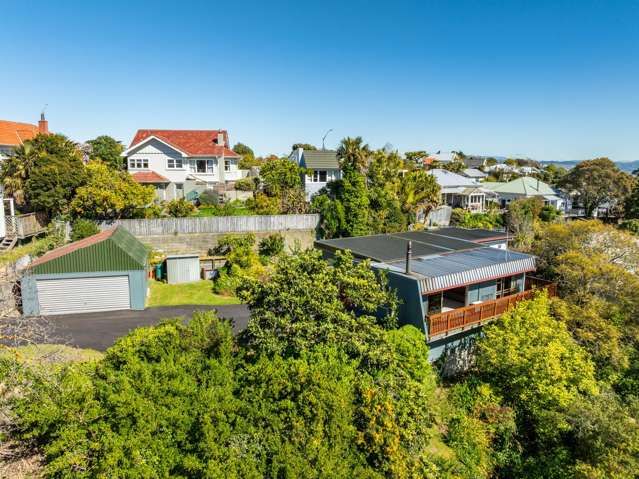 42 Milton Road Bluff Hill_4