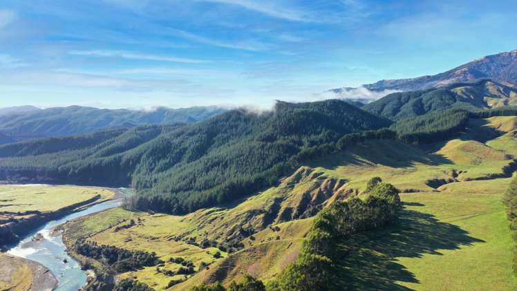 1015 Waitara Road Te Haroto_45