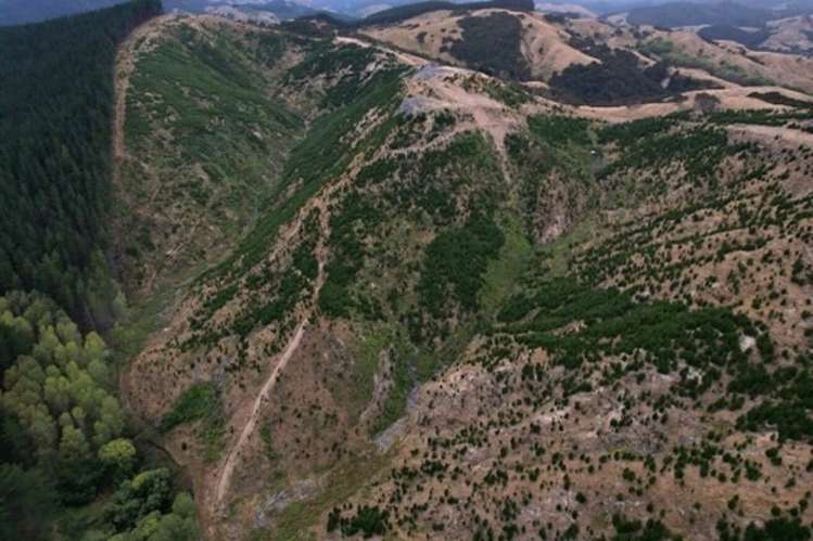 3525 Masterton Castlepoint Road Mangapakeha_2