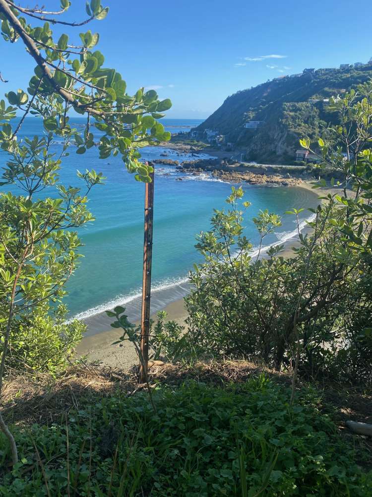 235 Houghton Bay Road Houghton Bay_14