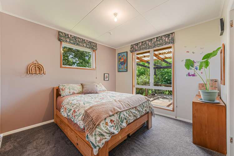 915 Thorpe-Orinoco Road, Dovedale Ngatimoti_29