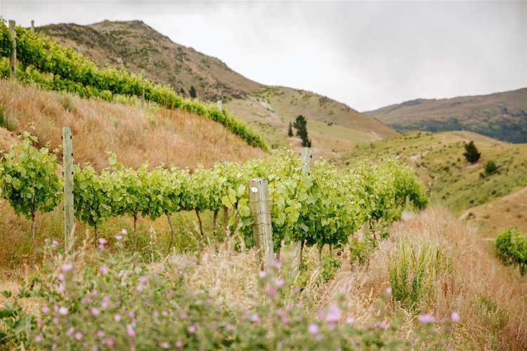 259a Felton Road Bannockburn_7