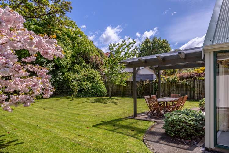 8 Horton Street Greytown_14