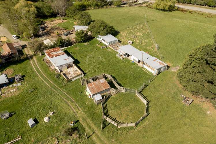 42 Falcon Street Palmerston_25