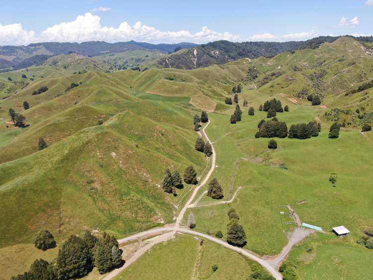 967 Ohura Road Aria_21