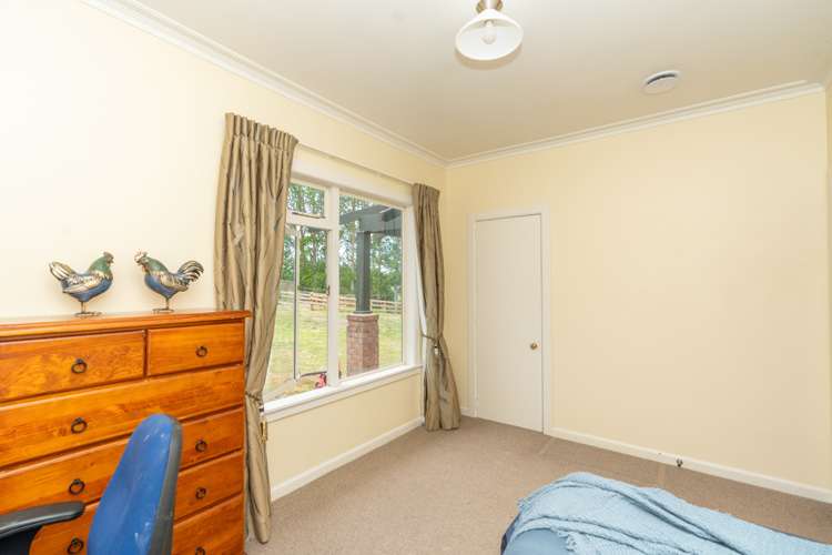 176 Bowman Road Whatawhata_24