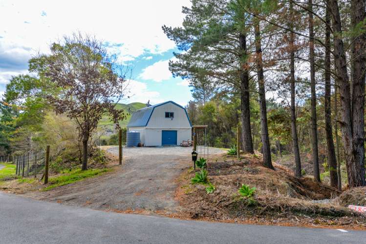 437 Ellis Wallace Road Eskdale_11