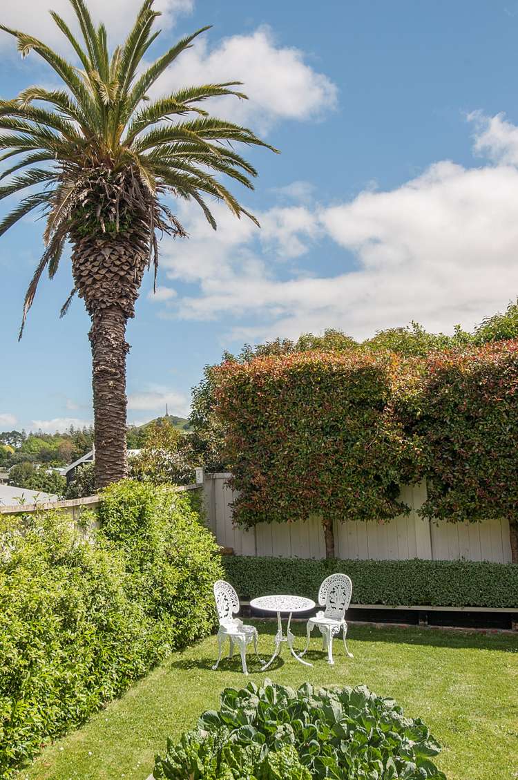 256 Great South Road Greenlane_16