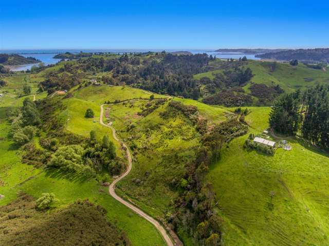 181f Mccoy Road Wainui_2