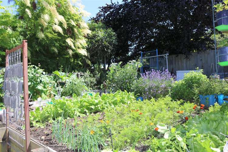 16 Cameron Street Seaview_11