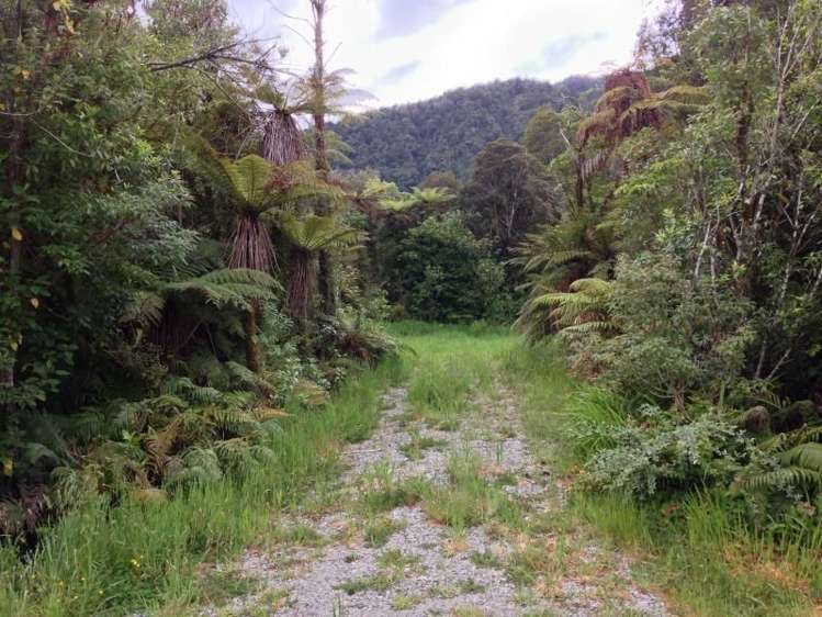 7 Punga Grove Lake Kaniere_8