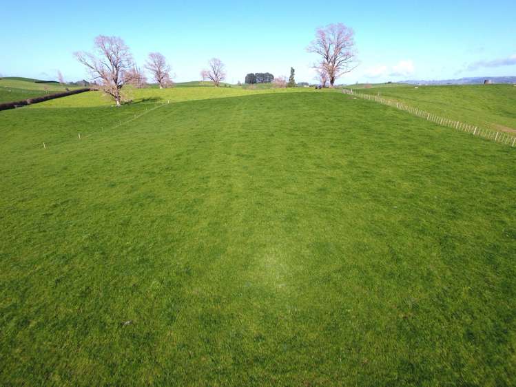 233B Kio Kio Station Road Otorohanga_26