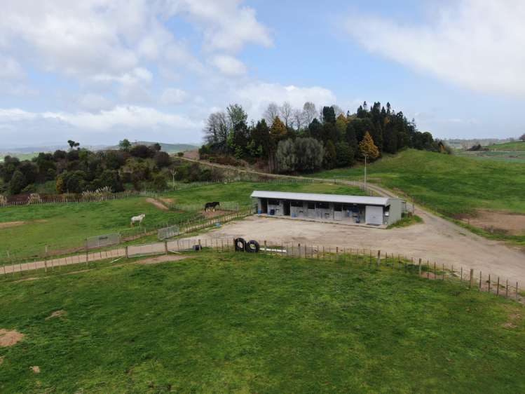 1375 State Highway 3 Otorohanga_19