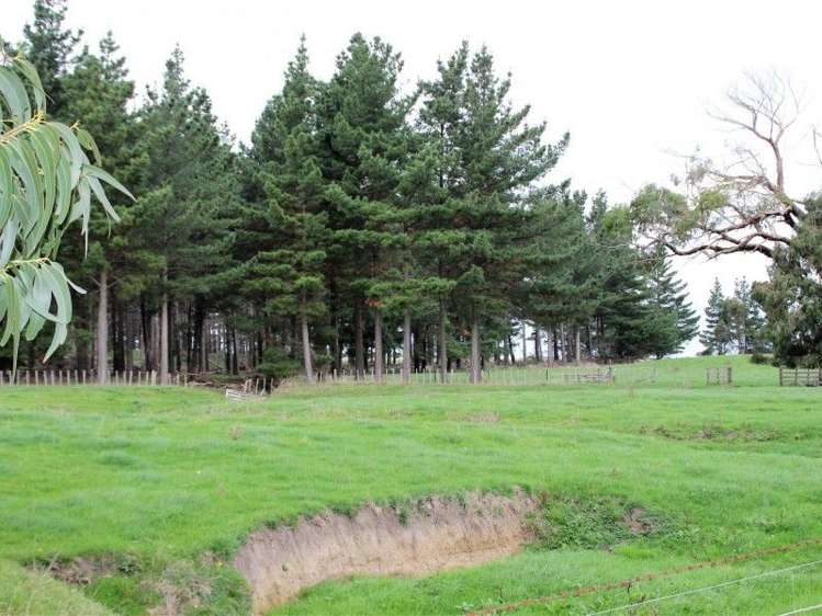 591 Wanganui Road Marton_22