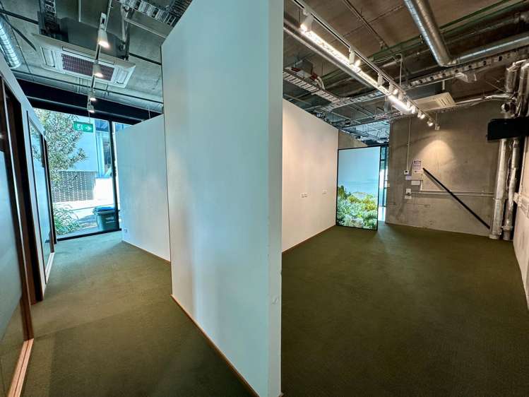 5 Crummer Road Grey Lynn_4